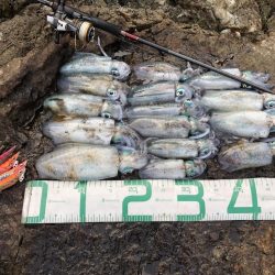 2022 佐渡ヶ島エギング 12回目